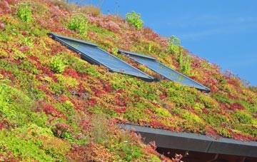 Ambrosden living roof systems