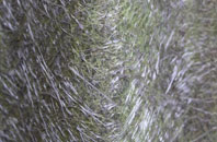 Ambrosden fibreglass roof work